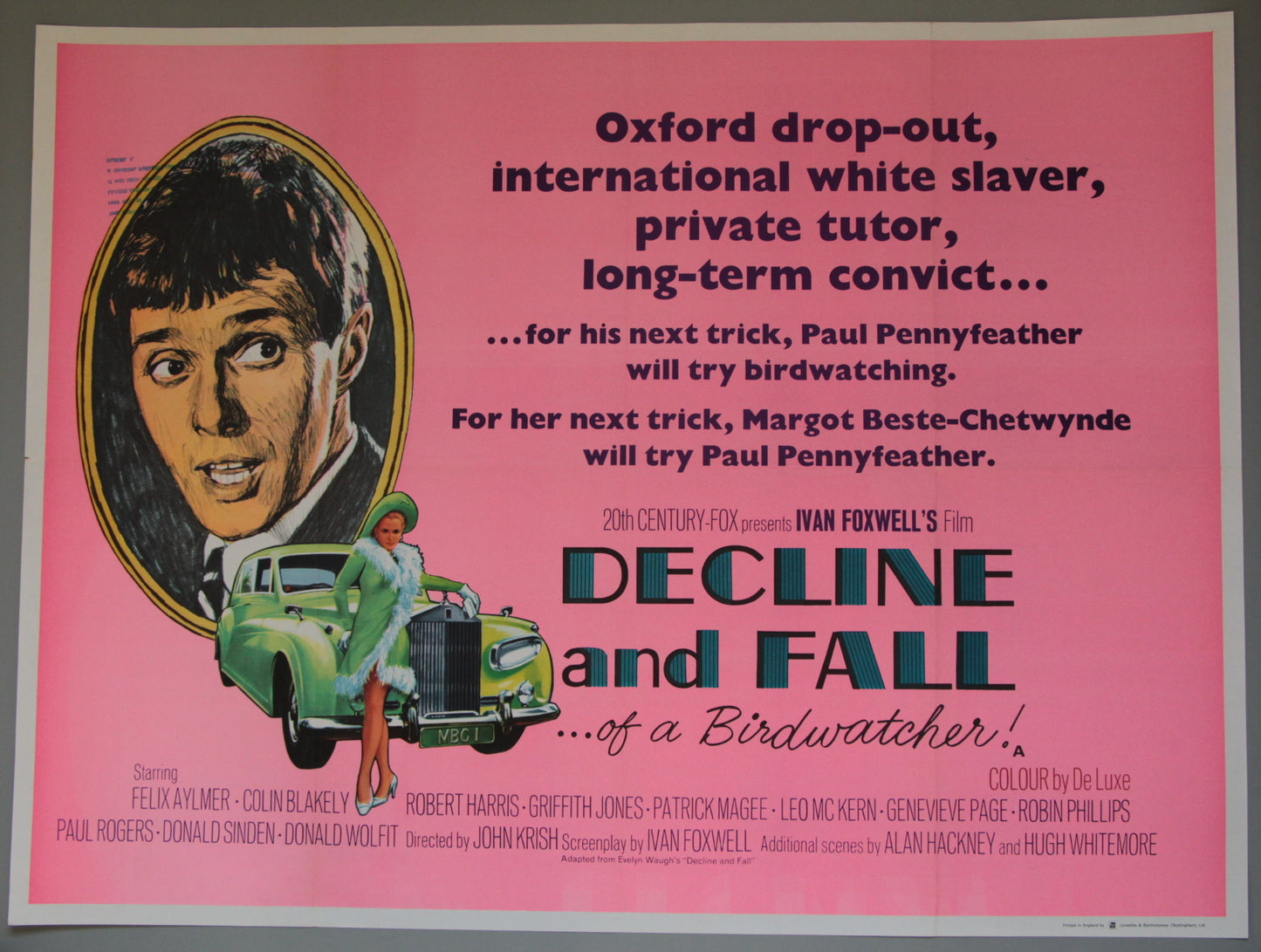 Decline and Fall... of a Birdwatcher