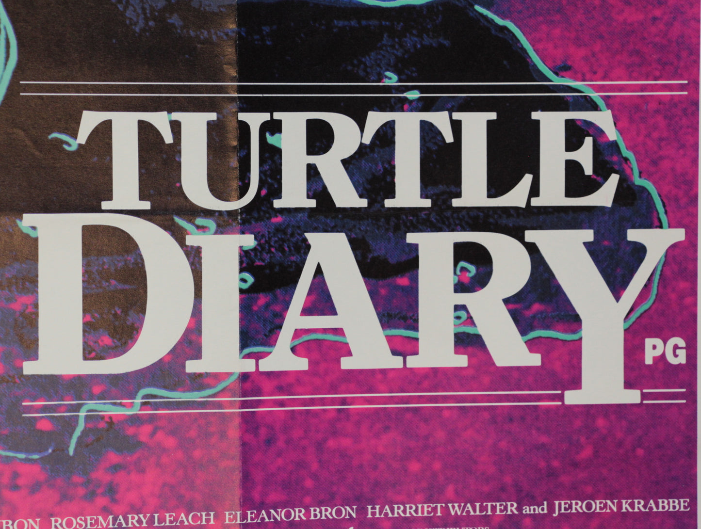 Turtle Diary