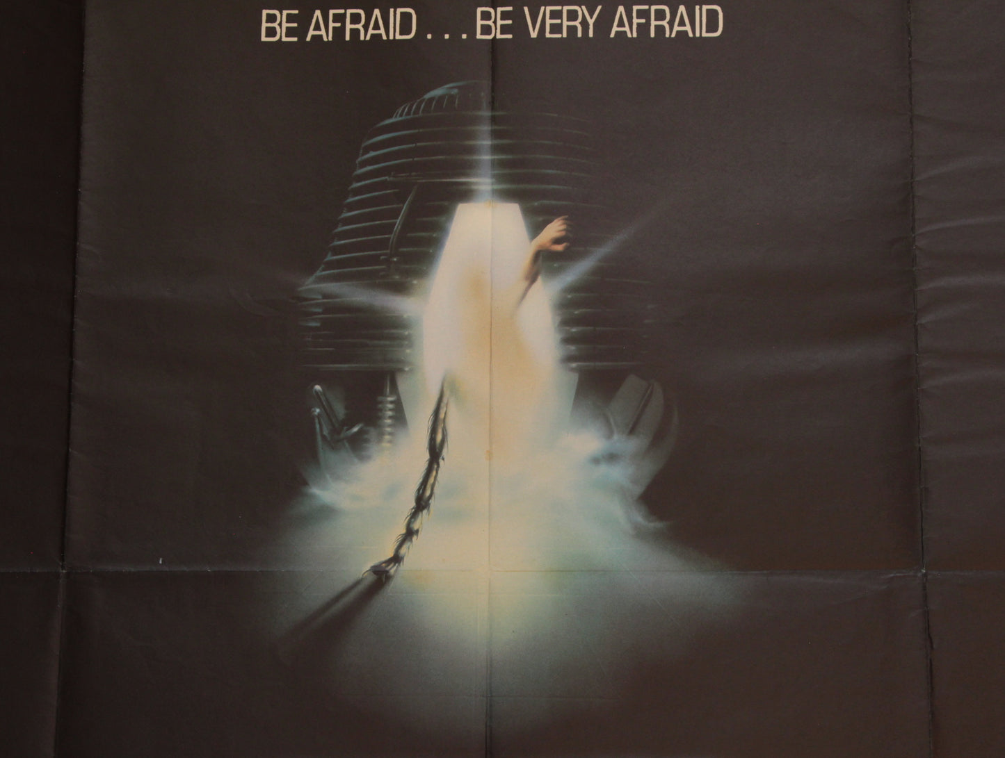 The Fly
