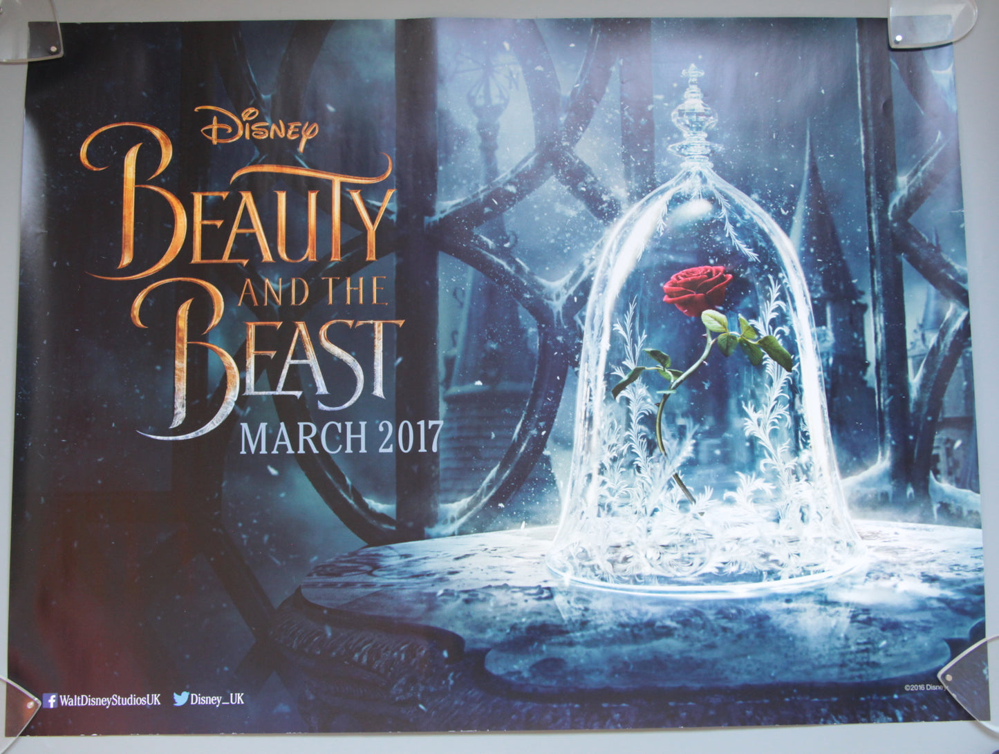 Beauty and the Beast