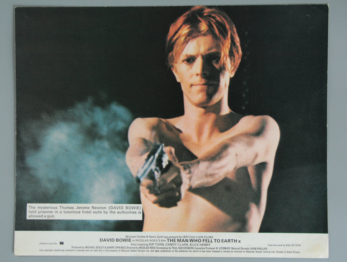 The Man Who Fell to Earth