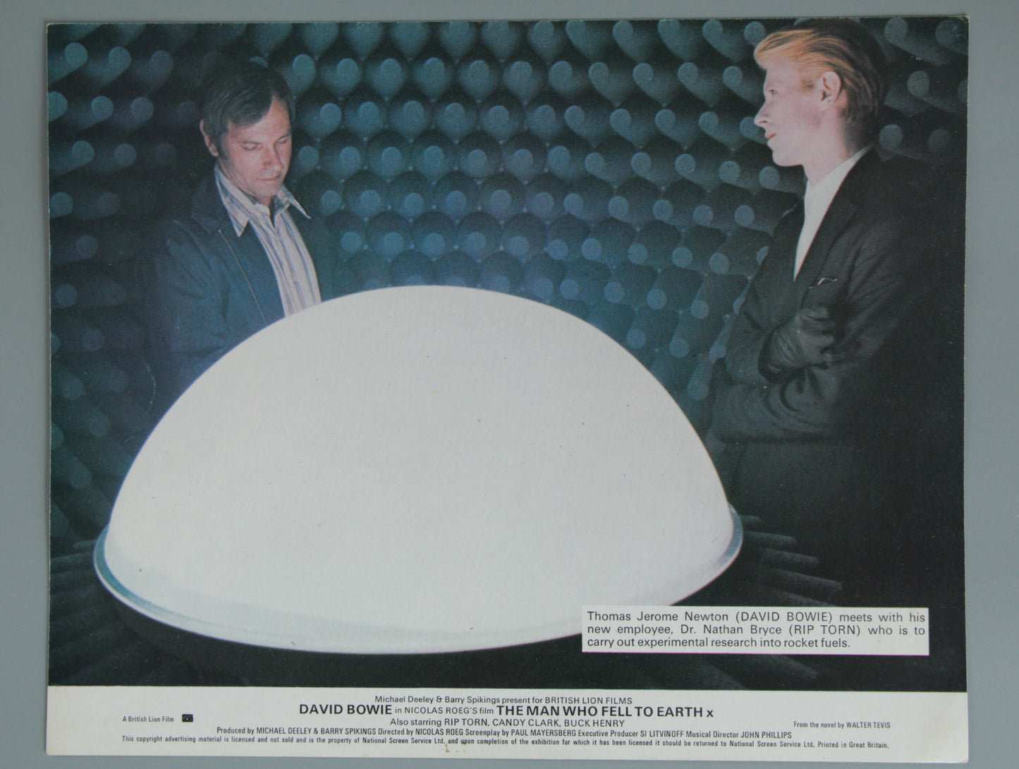The Man Who Fell to Earth