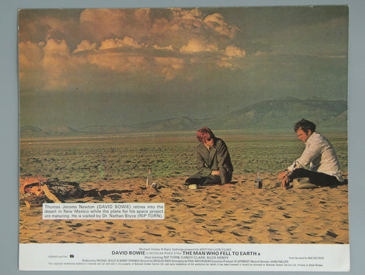 The Man Who Fell to Earth