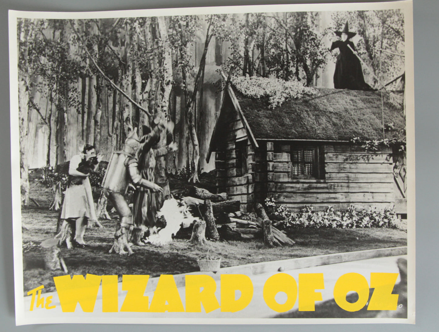 The Wizard of Oz