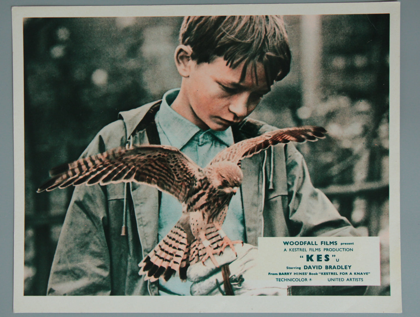 Kes