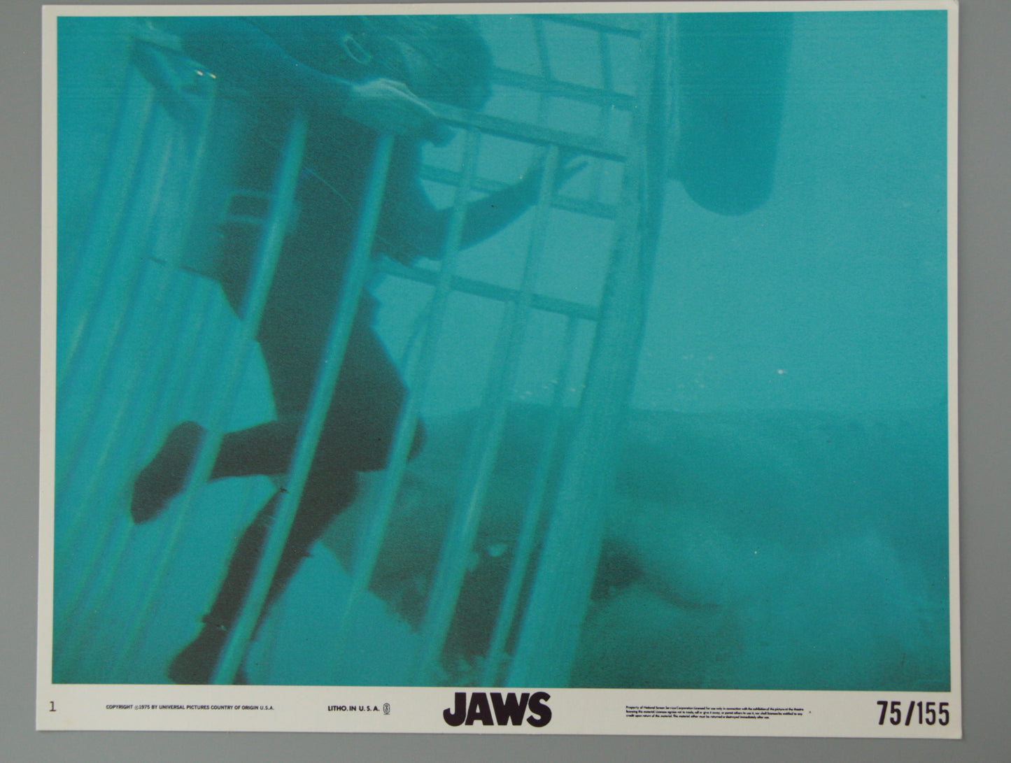 Jaws