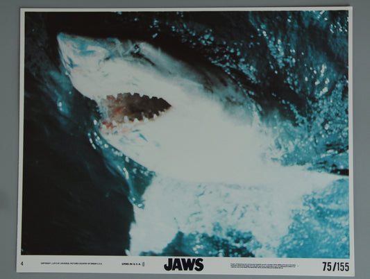 Jaws