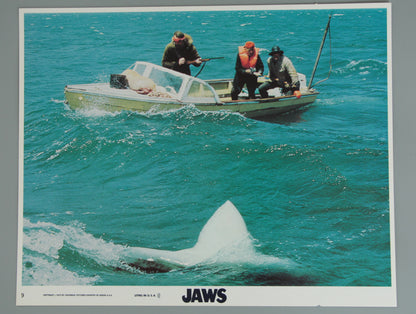 Jaws