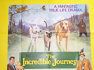 The Incredible Journey