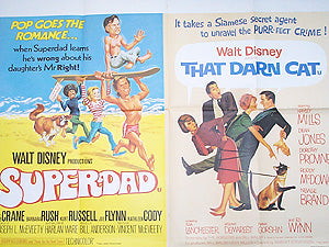 Superdad / That Darn Cat